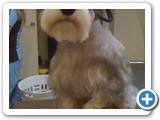 562211_588032717873715_1382828167_n